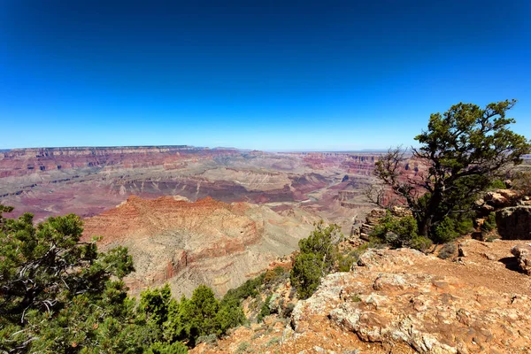 Grand Canyon South Rim Vista Arizona Durante Temporada Verão — Fotografia de Stock