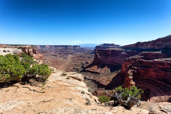 Grand Canyon Com Trilha Terrestre Fundo Vale — Fotografia de Stock