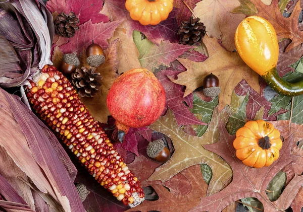 Gevulde Frame Van Kleurrijke Herfst Decoratie Plat Lag Weergave Indeling — Stockfoto