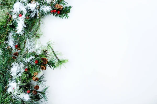 Sníh Vánoční Stromeček Stálezelené Větve Levý Okraj Bílém Pozadí — Stock fotografie