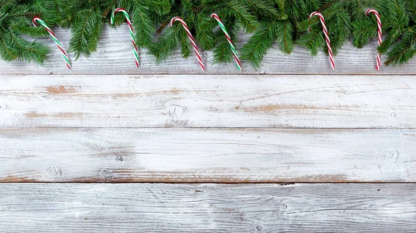 Noel evergreen üst kenarını şube ve şeker köpekler Beyaz vintage tahtaya