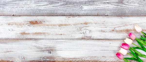 Bahar görüntü natürmort Paskalya ve anneler günü tatil konsepti ile beyaz rustik arka plan üzerinde sağ kenarlık üzerinde pembe Lale çiçek ile