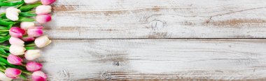 Bahar Lale çiçek mevsimlik tatil için beyaz rustik ahşap arka plan üzerinde gibi Paskalya ve anneler günü 