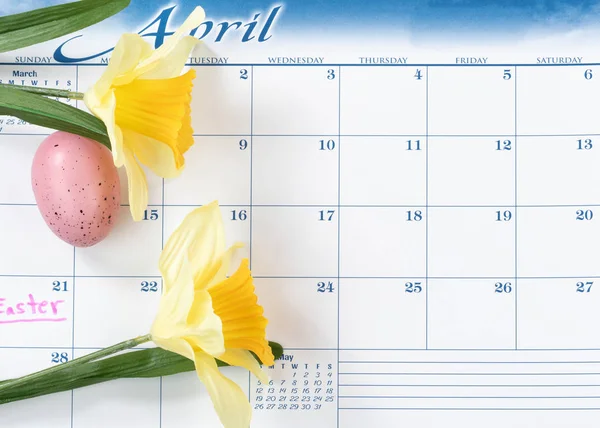 Rappel des fêtes de Pâques marqué sur le calendrier avec jonquilles jaunes — Photo