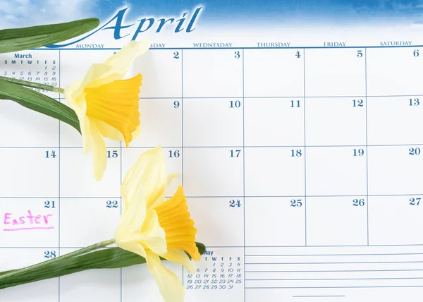 Easter holiday reminder marked on calendar with yellow daffodils — Stock Photo, Image