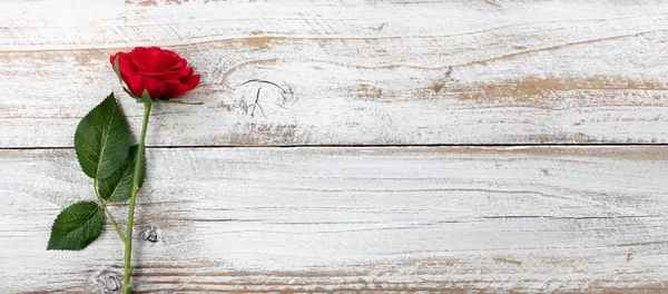 Anniversary background with a single red rose on white weathered — Stock Photo, Image