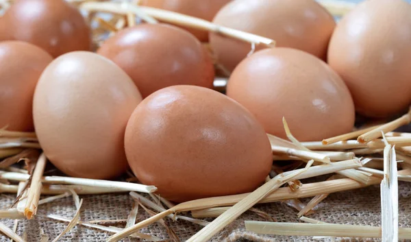 Surowe organiczne brązowe gospodarstwo hodował jaja na słomie — Zdjęcie stockowe