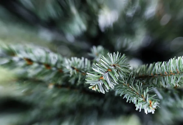 Παραδοσιακό τεχνητό χριστουγεννιάτικο δέντρο σε στενή προβολή — Φωτογραφία Αρχείου