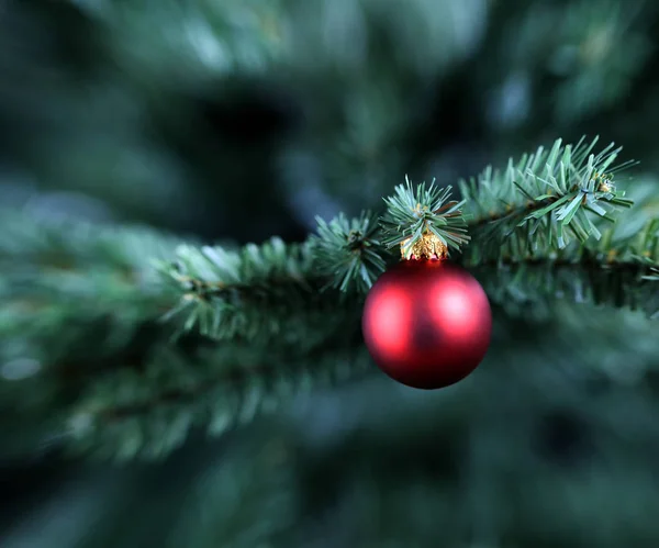 人工にぶら下がる伝統的な単一のクリスマスボールの装飾品 — ストック写真