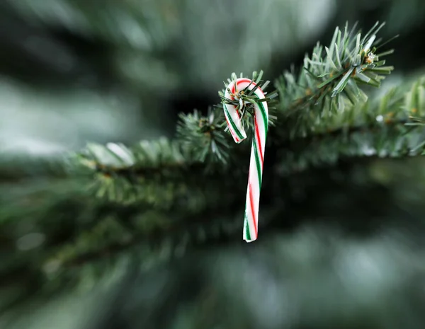 伝統的な単一のストリップキャンディ杖クリスマスの装飾ハング — ストック写真