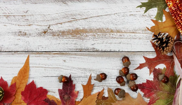 Right and bottom side borders of autumn decorations on white rus — Stock Photo, Image