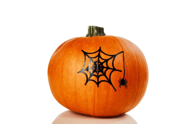 Echter Kürbis auf weißem Hintergrund für Herbst-Halloween dekoriert — Stockfoto