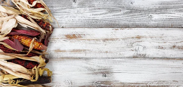 Πολύχρωμο καλαμπόκι στο αριστερό περίγραμμα του λευκού ρουστίκ ξύλου για το φθινόπωρο — Φωτογραφία Αρχείου