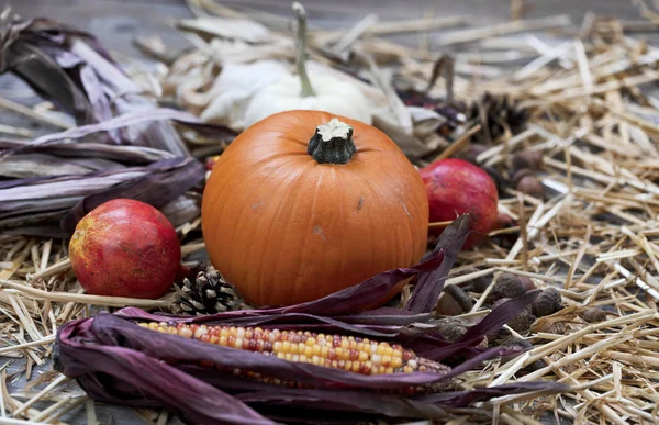 Selected view of small pumpkin with other Autumn decoration on r — Stock Photo, Image