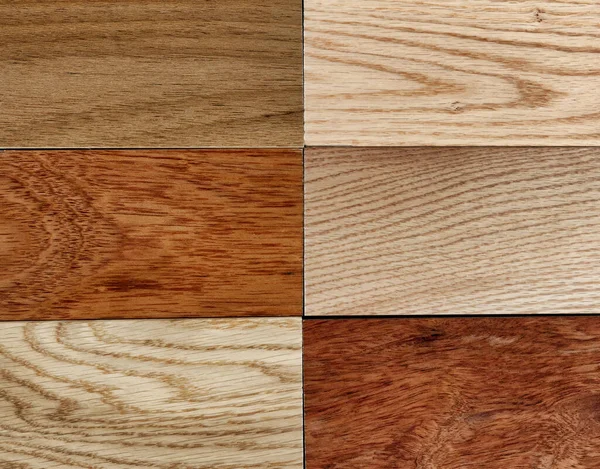 Różnorodność Tekstury Drewna Liściastego Wypełnionym Formacie Ramki — Zdjęcie stockowe