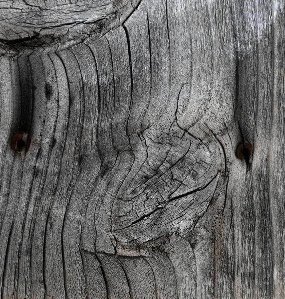 Weathered Wood Texture Background Filled Frame Format — Stock Photo, Image