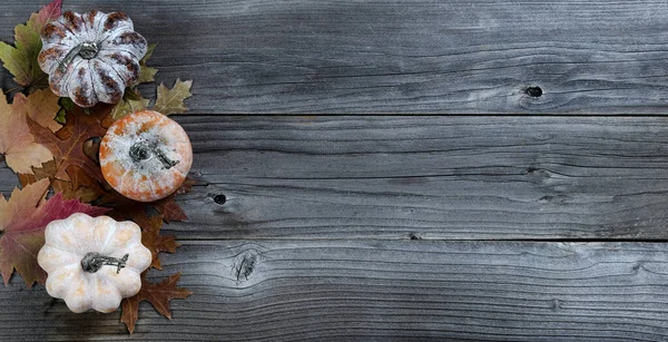 Szezonális Őszi Sütőtök Őszi Levelekkel Időjárási Hálaadás Vagy Halloween Ünnep — Stock Fotó