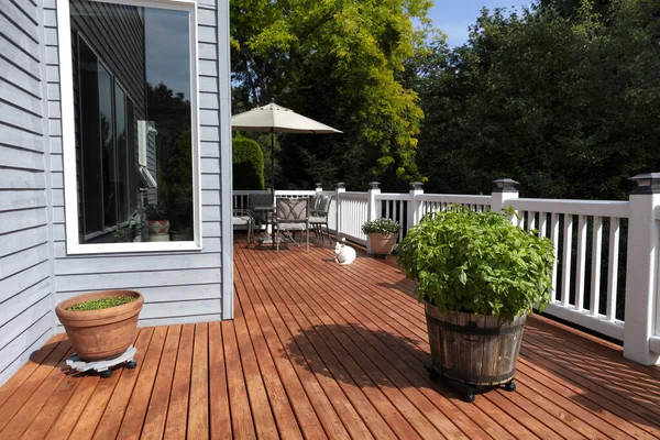 Large Wooden Barrel Fresh Organic Basil Home Outdoor Deck Family — Stock Photo, Image