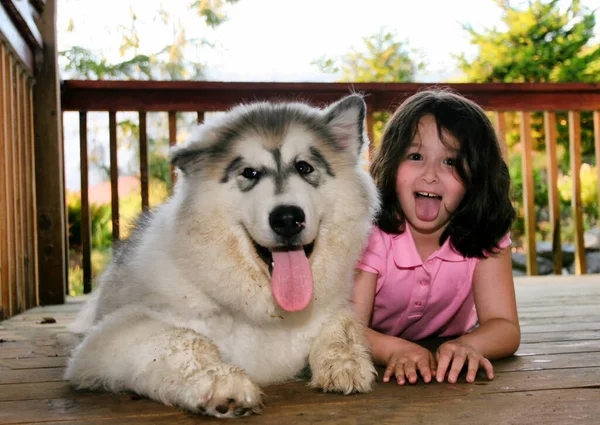 Молодая Девушка Собакой Открытой Палубе Играет Вокруг Языками Тусуясь — стоковое фото