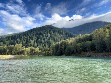 Washington eyaletindeki Skagit Nehri 'nde güzel bir yaz sabahı. Yaz mevsiminin sonlarında yeşil akan su ve ağaçlarla birlikte. Arka planda bulutlu mavi gökyüzü. 