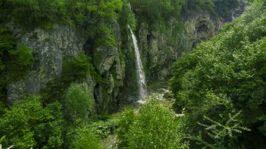 Yeşil ağaçların arasında Şelale 