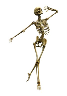 Beyaz arkaplanda izole edilmiş bir insan iskeletinin 3 boyutlu görüntülenmesi