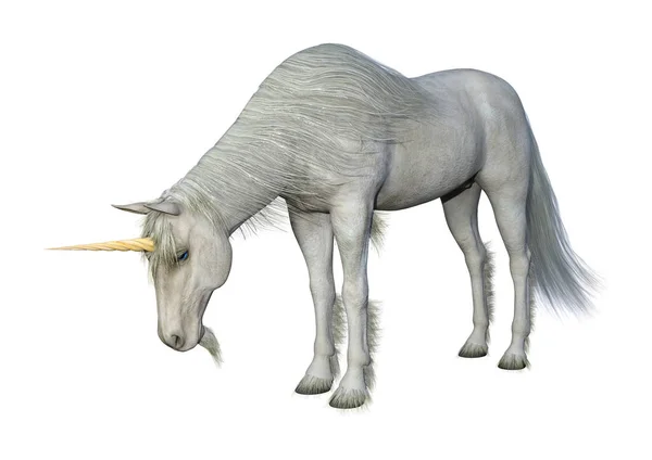 Rendering Unicorno Bianco Fiaba Isolato Sfondo Bianco — Foto Stock