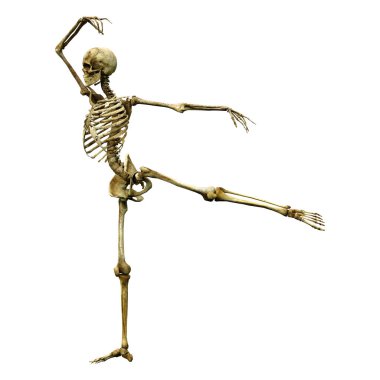 Beyaz arkaplanda izole edilmiş bir insan iskeletinin 3 boyutlu görüntülenmesi