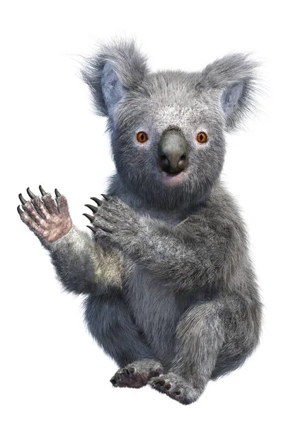 Rendering Cute Koala Bear Isolated White Background — Stock Photo, Image