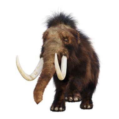 3D rendering of a woolly mammoth isolated on white background clipart