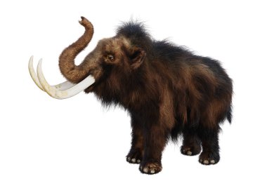 3D rendering of a woolly mammoth isolated on white background clipart