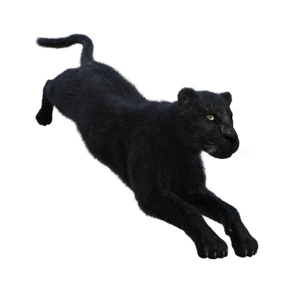 Rendering Black Panther Isolated White Background — Stock Photo, Image