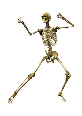 Beyaz arkaplanda izole edilmiş bir insan iskeletinin 3 boyutlu görüntülenmesi