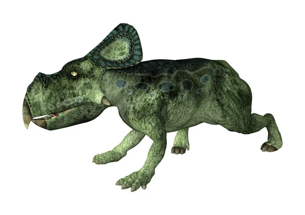 白い背景に分離された恐竜プロトケラトプスの レンダリング — ストック写真
