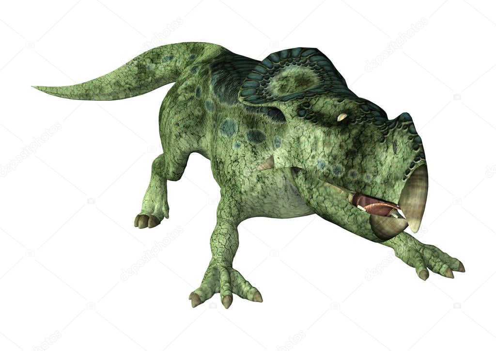 3D rendering of a dinosaur Protoceratops isolated on white background