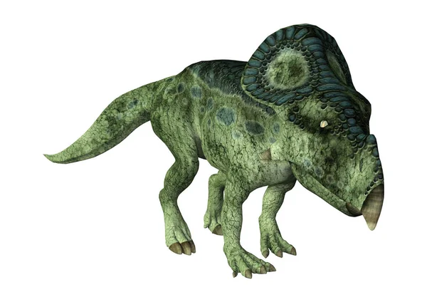 Renderowania Protoceratopsa Dinozaur Białym Tle — Zdjęcie stockowe