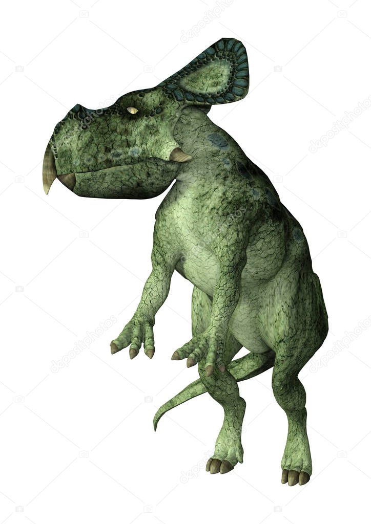 3D rendering of a dinosaur Protoceratops isolated on white background
