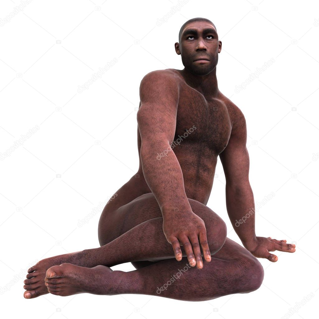 3D rendering of a male Homo Erectus sitting isolated on white background