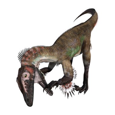 Beyaz arka plan üzerinde izole bir dinozor utahraptor 3D render