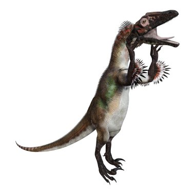 Beyaz arka plan üzerinde izole bir dinozor utahraptor 3D render