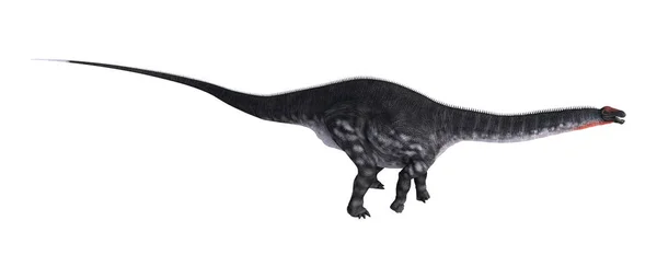 Apatosaurus 배경에 고립의 렌더링 — 스톡 사진