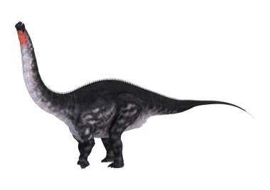 Beyaz arka plan üzerinde Apatosaurus izole bir dinozor 3D render