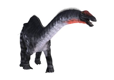 Beyaz arka plan üzerinde Apatosaurus izole bir dinozor 3D render