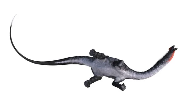 Apatosaurus 배경에 고립의 렌더링 — 스톡 사진