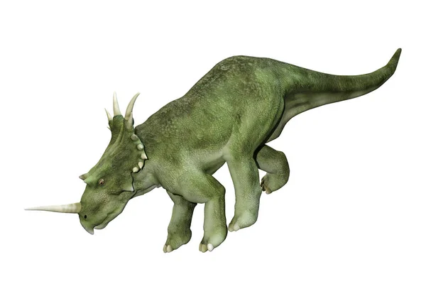 Styracosaurus의 렌더링 아군된 도마뱀 Backround에 Ceratopsian 백악기 Campanian — 스톡 사진