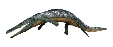 3D render bir Archegosaurus izole beyaz arka plan üzerinde hayvan öldü