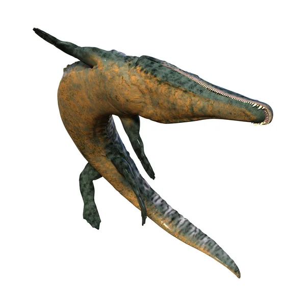 Renderingu Zmarł Białym Tle Archegosaurus Zwierzę — Zdjęcie stockowe
