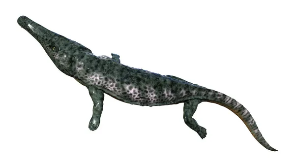 Darstellung Eines Toten Tier Archegosaurus Isoliert Auf Weißem Hintergrund — Stockfoto