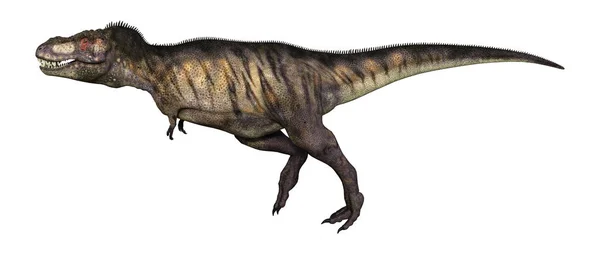 Απεικόνιση Του Ένας Δεινόσαυρος Tyrannosaurus Απομονώνονται Λευκό Φόντο — Φωτογραφία Αρχείου