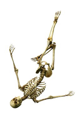 Beyaz arkaplanda izole edilmiş bir insan iskeletinin 3 boyutlu görüntülenmesi